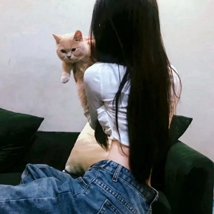 消失的女教师